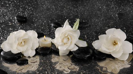 Three gardenia flower and candle on pebbles
