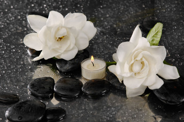 two gardenia flower and candle on pebbles