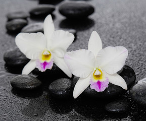 Obraz na płótnie Canvas Two orchid and candle on pebbles –wet background