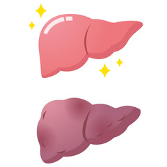 医療　健康　肝臓