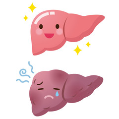 医療　健康　肝臓