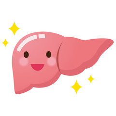 医療　健康　肝臓