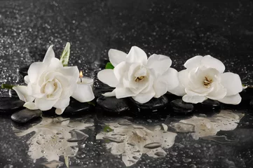 Foto auf Acrylglas spa concept –gardenia flower with zen stone © Mee Ting
