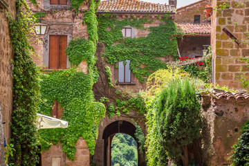 Fototapeta premium Ancient city overgrown with ivy in Tuscany