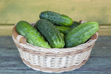 Harvest cucumbers and dill in a basket on the wooden background