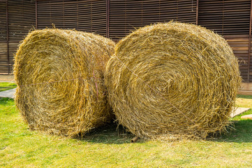 Hay Bale