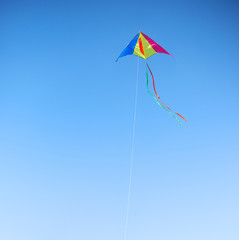 Kite against the blue sky