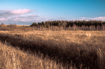 field and forest