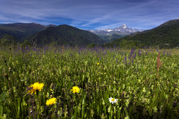 Fototapeta premium Monviso