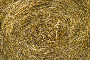 Straw Background