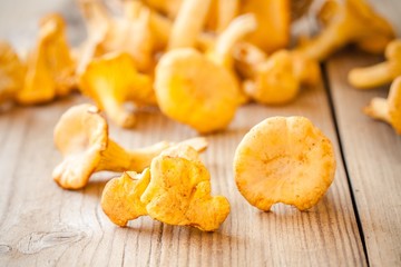 fresh chanterelle mushrooms on a wooden background