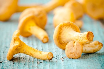 fresh chanterelle mushrooms on a wooden background
