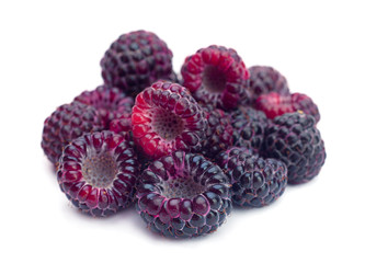 Black raspberry Cumberland