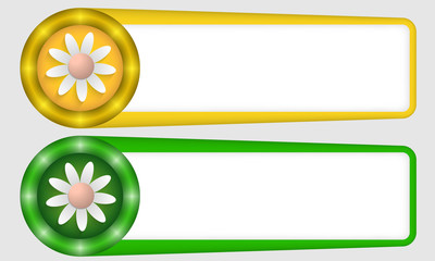 yellow and green frames for any text with flower