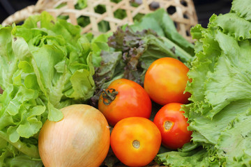 Vegetables salad and tomato in the basket