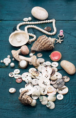 seashells and sewing accessories and supplies