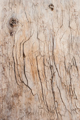 Old wooden background