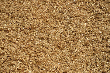 Background of wooden chips