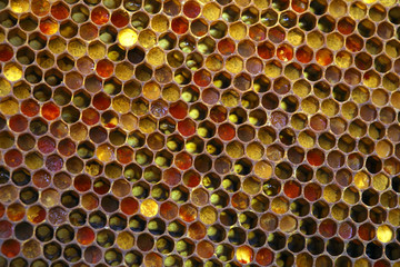 honeycomb structure