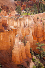 Bryce Canyon National Park in Utah, USA
