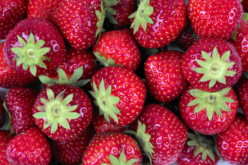 Erbeeren © Klaus Eppele