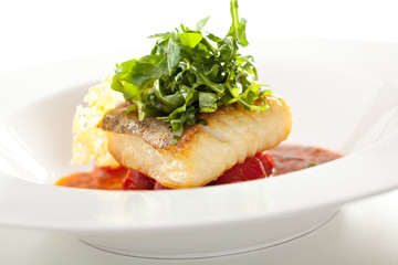 Halibut Fillet