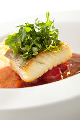 Halibut Fillet