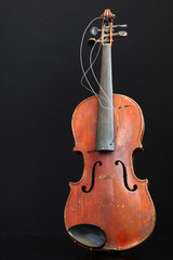violin