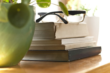 Books on a shelf.