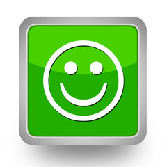 BOUTONS CARRES COLLECTION VERTE