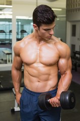 Fototapeta na wymiar Shirtless muscular man exercising with dumbbells