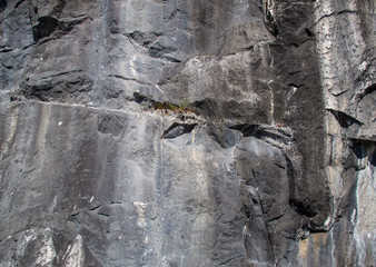 Background gray rocks