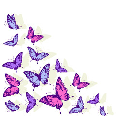 butterflies design