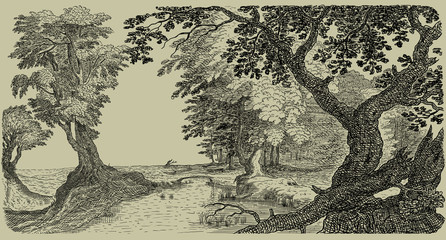 Old forest