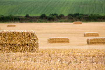 Close-up of hay bales and hedgerows