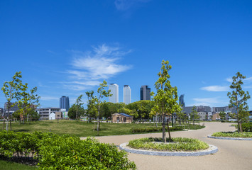米野公園と名駅高層ビル群
