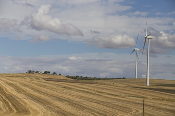 Fototapeta na wymiar Renewable source of energy: windmill