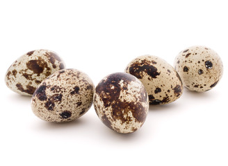 Fototapeta premium Quail egg isolated on white background cutout