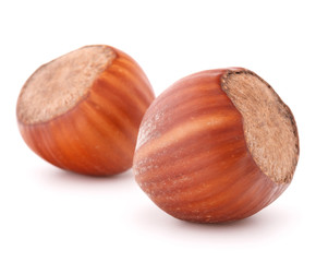 hazelnut or filbert nut isolated on white background cutout