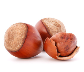 hazelnut or filbert nut isolated on white background cutout