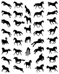 Black silhouettes of horses, vector