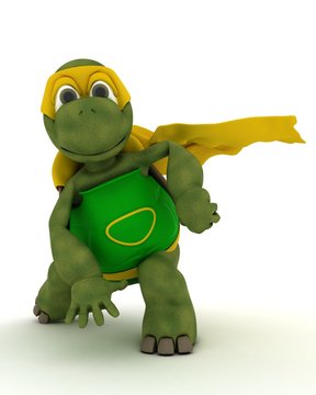 tortoise superhero