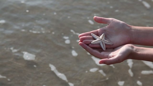 Starfish and shell in hand