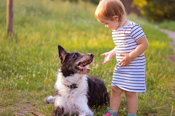 baby train a dog