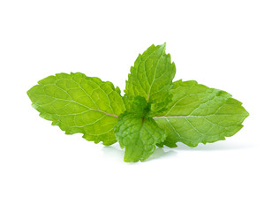 mint leaves isolated on white background