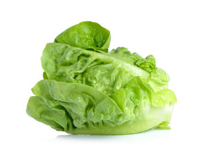 lettuce leaves isolated on white background