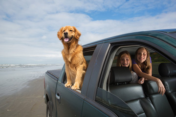 Dog drive with kids