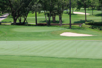 Fototapeta premium green golf course