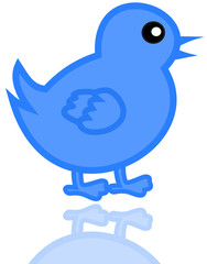 a little blue bird with reflection