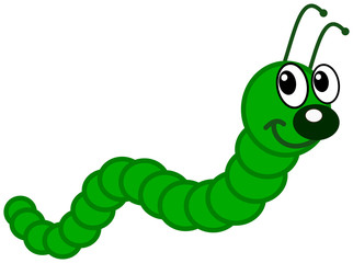 a green caterpillar